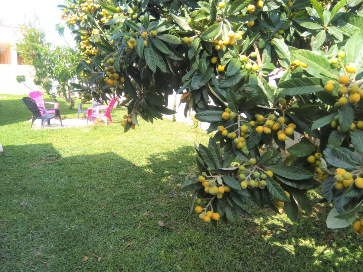 Villa Rosso Corallo ปุนตาเซกกา ภายนอก รูปภาพ